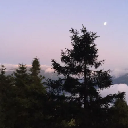 Pokut Orion * Camlihemsin