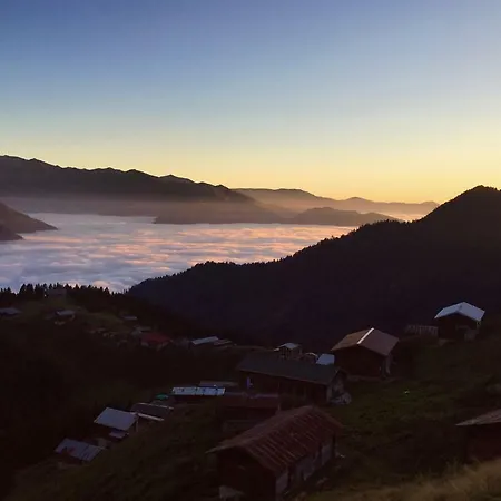 Homestay Pokut Orion *