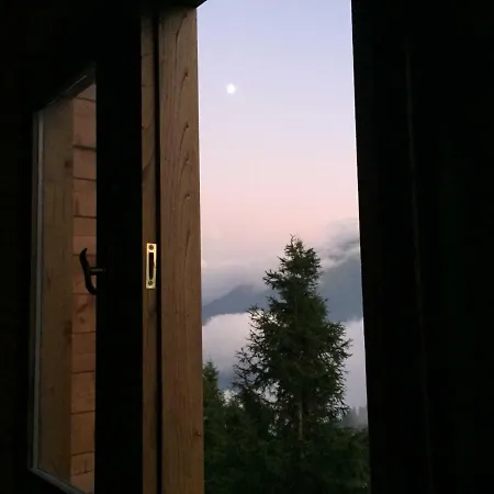 Pokut Orion Homestay