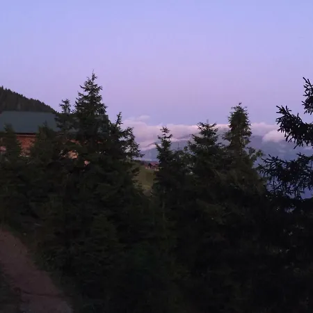 Pokut Orion * Camlihemsin